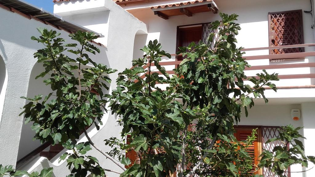 Villa Modus Vivendi Cinisi Εξωτερικό φωτογραφία